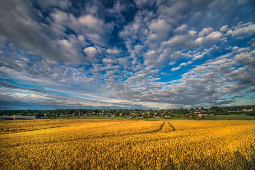 car wrapping supplier Askim