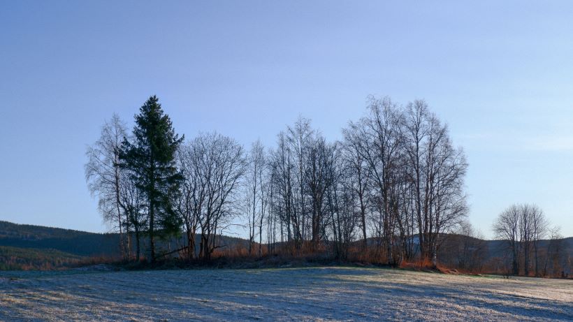 leverandør av foliering Hurdal