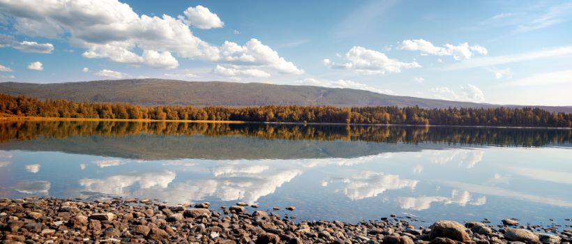 leverandør av foliering Steinkjer